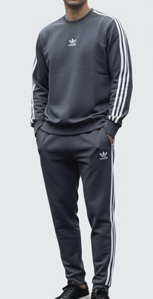 Костюм спорт Zalov (46-54) ZW1311 grey (деми)