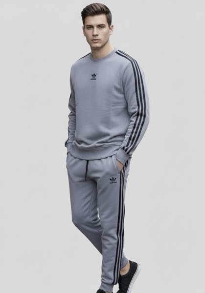 Костюм спорт Zalov (46-54) ZW1315 grey (деми)