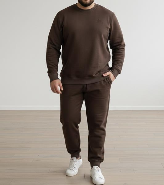 Костюм спорт Zalov (54-62) ZW1323 brown (деми)