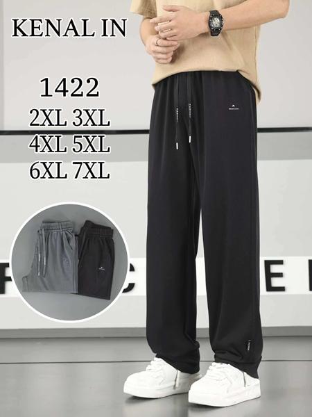 Штаны спорт Kenalin (2XL-7XL) 1422 grey (деми)