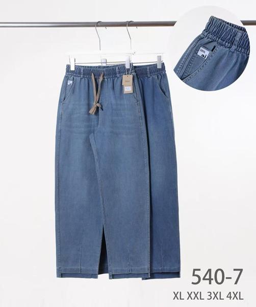 Джинсы Kenalin (XL-4XL) 540-7 blue (деми)