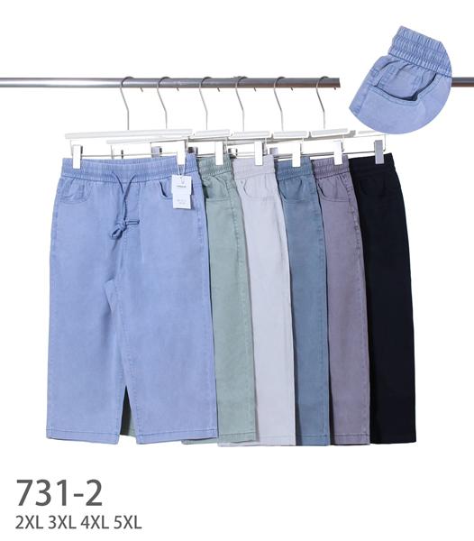 Джинсы Kenalin (2XL-7XL) 731-2 mix (деми)