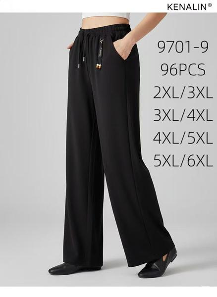 Штаны спорт Kenalin (2XL-6XL) 9701-9 black (деми)