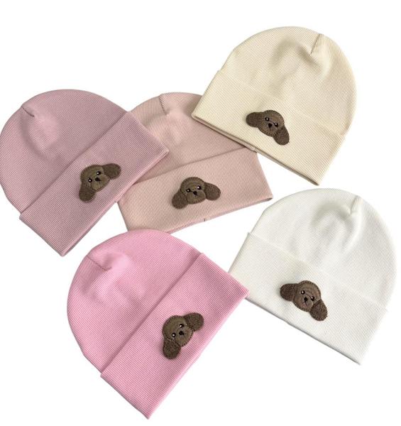 Шапка Candy (46-48) CN2610 mix (деми)