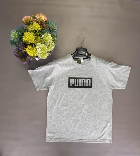 Футболка Annet (S-2XL) VE0145 gray (лето)