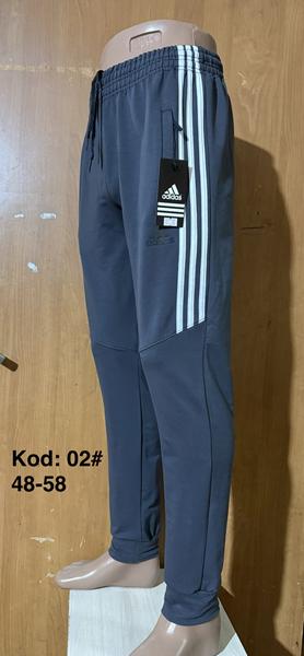 Штаны спорт Ayden (48-58) 02  grey (деми)