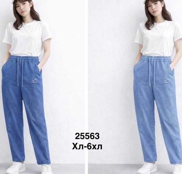 Штаны Minh (44-52) 25563 l.blue (деми)