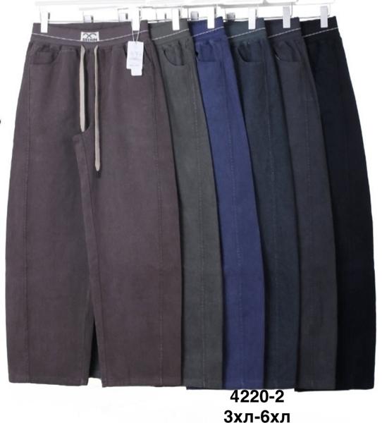 Штаны Minh (44-50) 4220-2 mix (деми)