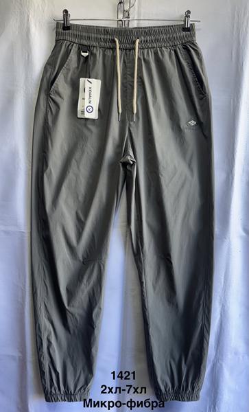 Штаны спорт Minh (48-58) MH588 grey (деми)