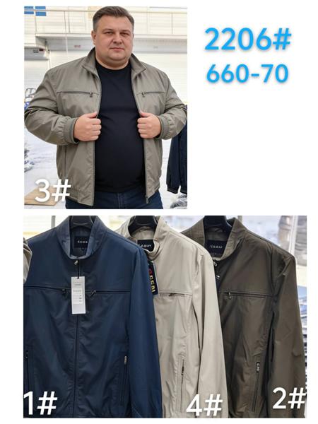 Ветровка Lina (60-70) 2206-4 beige (деми)