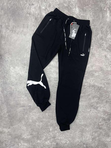 Штаны спорт Alex Clothes (S-2XL) 13578 black (деми)