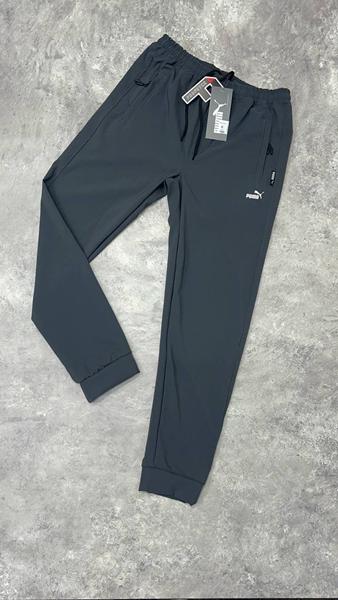 Штаны спорт Alex Clothes (S-2XL) 13580 grey (деми)