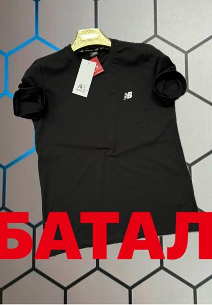 Футболка Alex Clothes (2XL-6XL) 13673 black (лето)