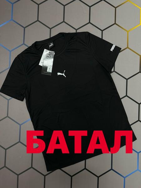 Футболка Alex Clothes (2XL-6XL) 13679 black (лето)