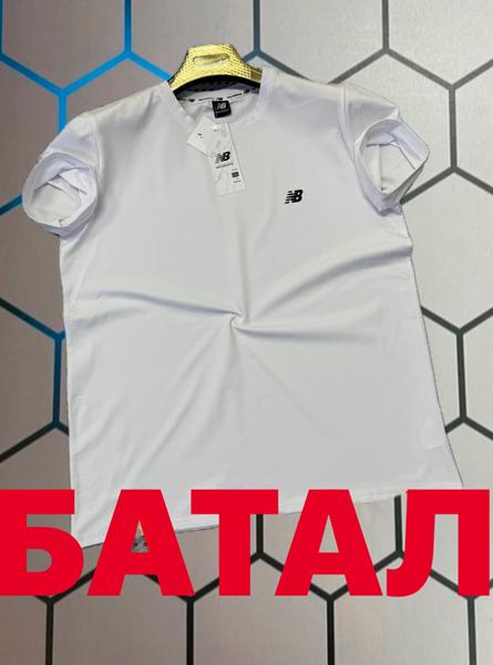 Футболка Alex Clothes (2XL-6XL) 13687 white (лето)