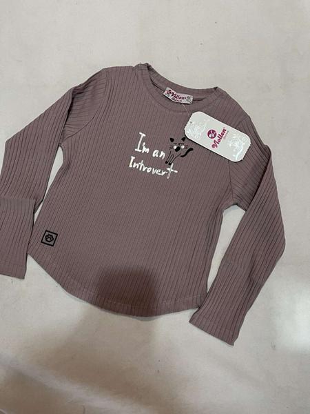 Свитер Zayka (98-122) ZA1773 brown (деми)