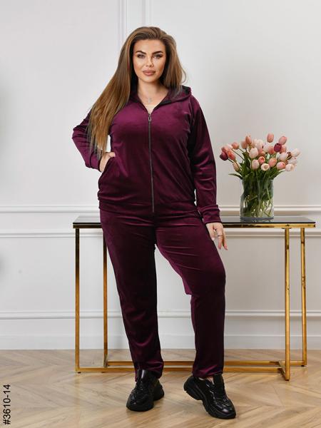 Костюм спорт OdesaOpt (54-58) 3610-14 wine (деми)