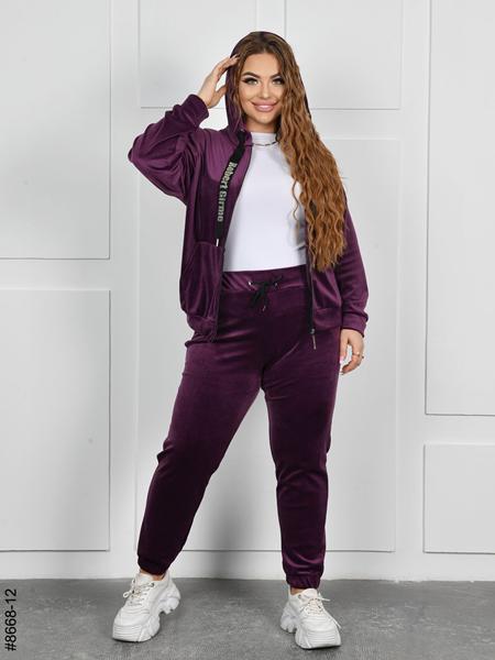 Костюм спорт OdesaOpt (54-60) 8668-12 purple (деми)
