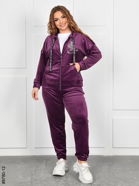 Костюм спорт OdesaOpt (54-60) 8780-12 purple (деми)