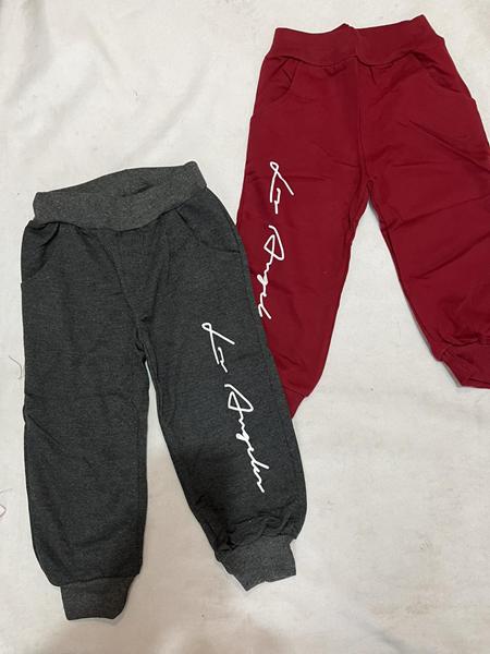 Штаны спорт Zayka (2-6) ZA1981 grey (деми)