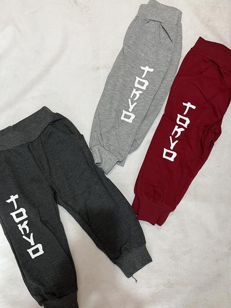 Штаны спорт Zayka (2-6) ZA1982 red (деми)