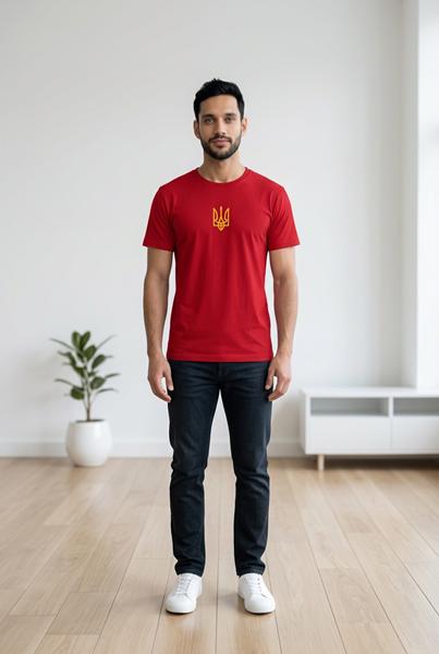 Футболка Sport style (S-2XL) 1 wine (лето)