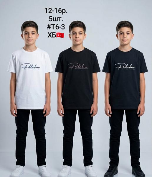 Футболка AMZ (12-16) T6-3 black-beige (лето)