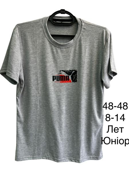 Футболка TRAN (40-48) TR985 grey (лето)