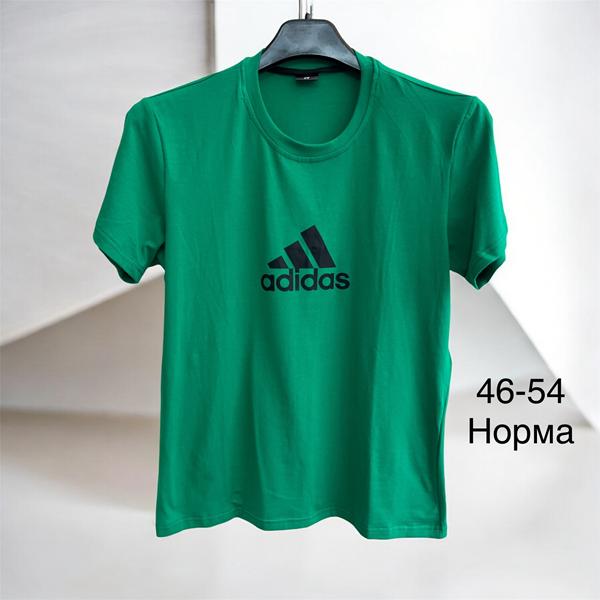 Футболка TRAN (46-54) TR989 green (лето)