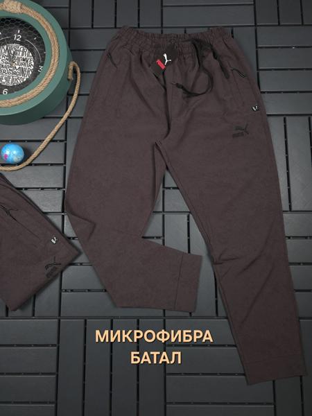 Штаны спорт Verton (2XL-6XL) W26589 brown (деми)