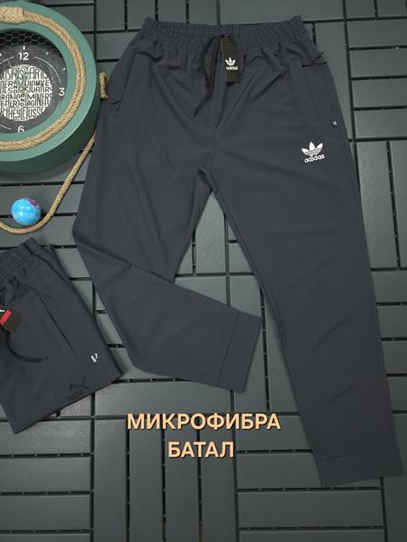 Штаны спорт Verton (2XL-6XL) W26591 grey (деми)