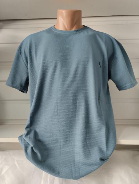 Футболка Panda (4XL-8XL) 1628 l.blue (лето)