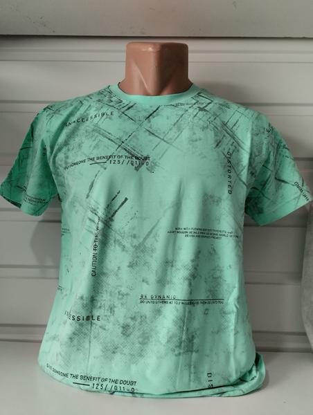 Футболка Panda (S-2XL) 1704 mint (лето)