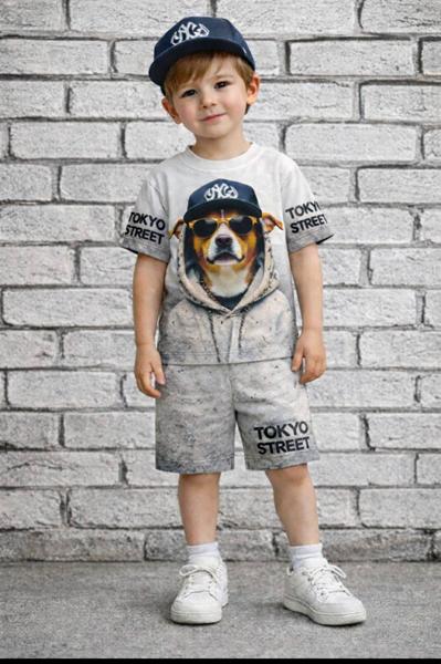 Костюм Dino (3-7) DN259 l.grey (лето)