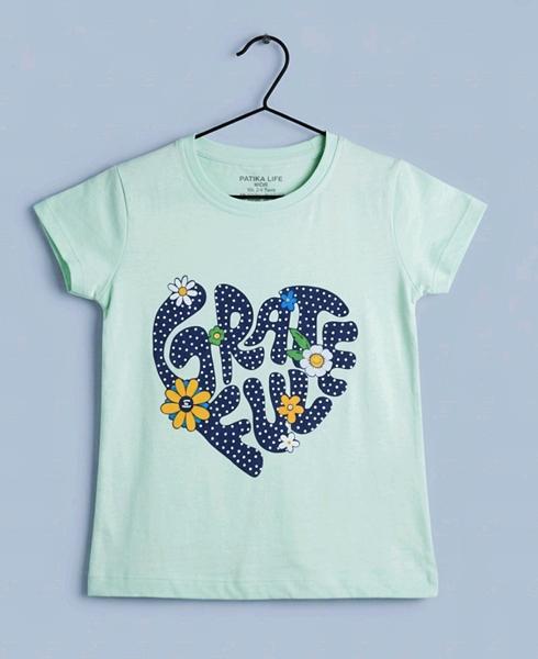 Футболка Dino (4-8) DN78 mint (лето)