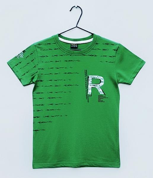 Футболка Dino (5-8) DN82 green (лето)