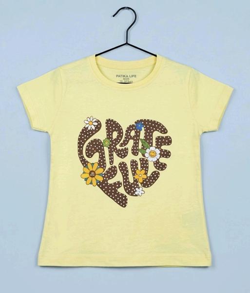 Футболка Dino (4-8) DN308 yellow (лето)