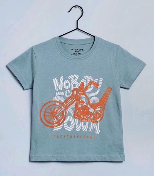 Футболка Dino (4-8) DN326 grey (лето)