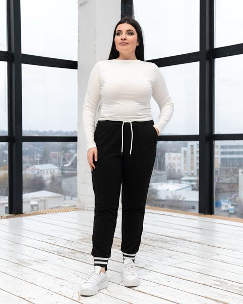 Штаны спорт AZNA (XL-4XL) Б65 black (деми)