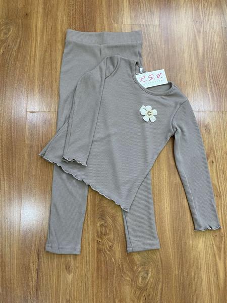 Костюм RSV (98-122) 217 grey (деми)