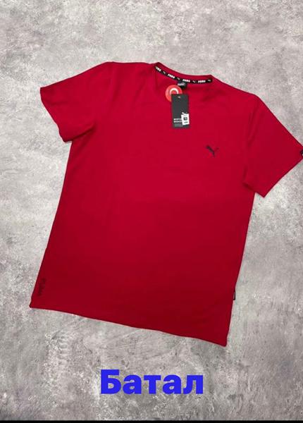 Футболка Alex Clothes (2XL-6XL) 13806 red (лето)