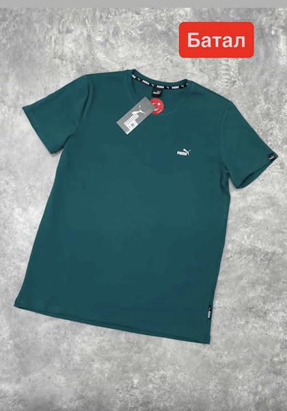 Футболка Alex Clothes (2XL-6XL) 13807 green (лето)