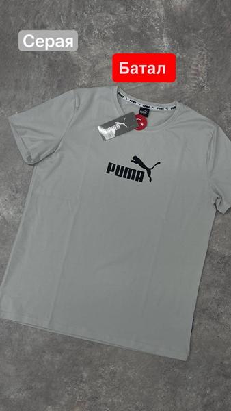 Футболка Alex Clothes (2XL-6XL) 13809 grey (лето)