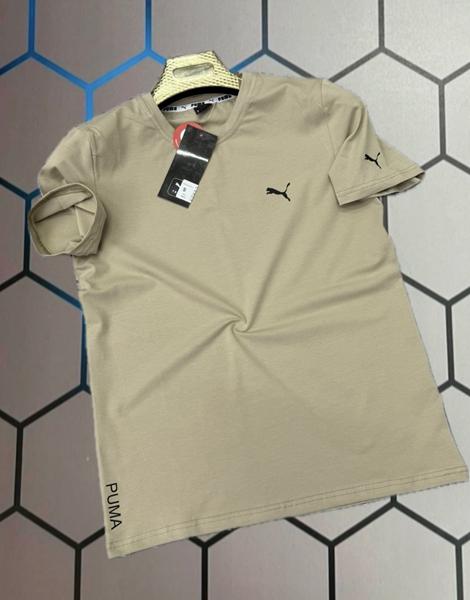Футболка Alex Clothes (S-2XL) 13834 beige (лето)