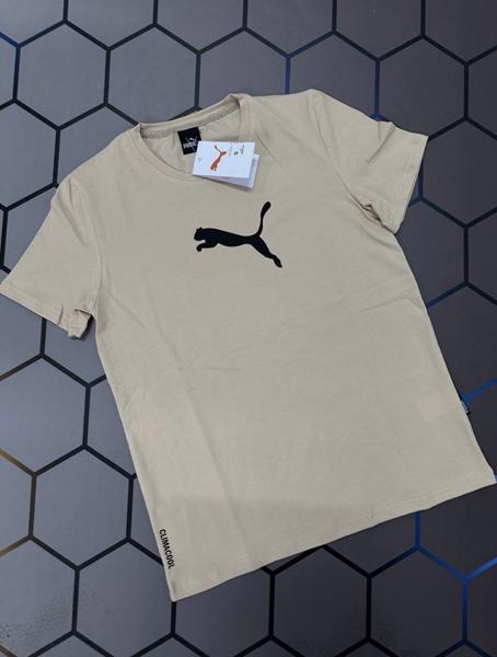 Футболка Alex Clothes (S-2XL) 13852 beige (лето)