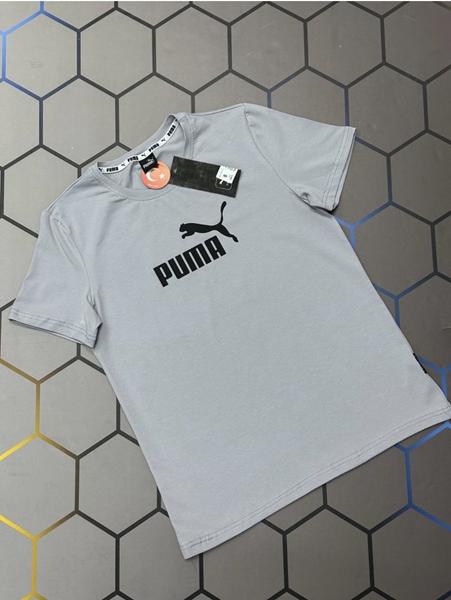 Футболка Alex Clothes (S-2XL) 13855 grey (лето)