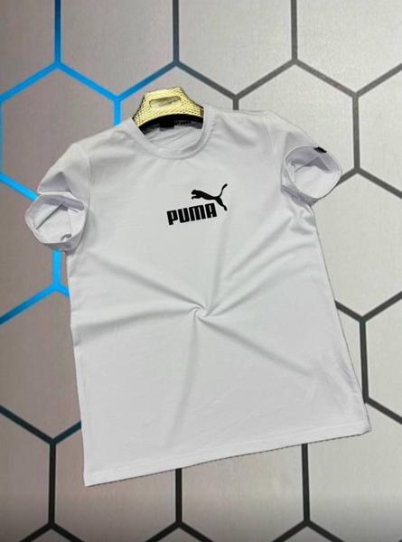 Футболка Alex Clothes (S-2XL) 13857 white (лето)