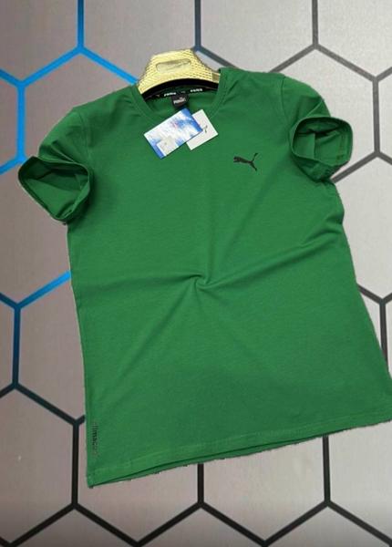 Футболка Alex Clothes (S-2XL) 13923 green (лето)