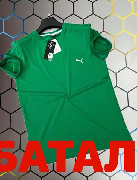 Футболка Alex Clothes (2XL-6XL) 13945 green (лето)