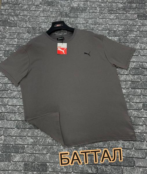 Футболка F.T.H (3XL-4XL) F1139 grey (лето)